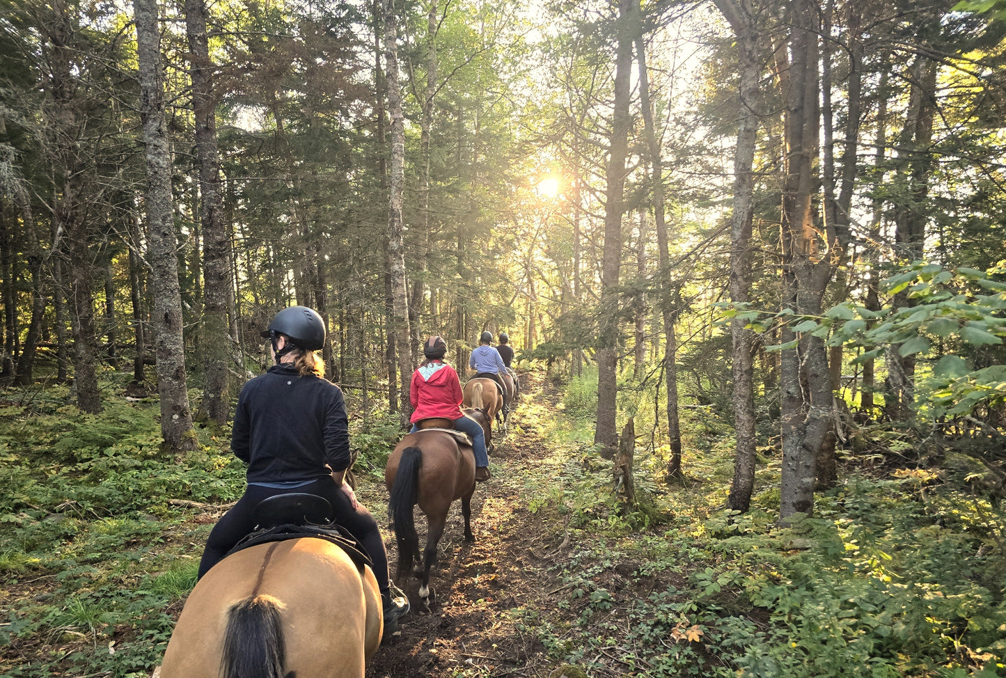 Private sunset ride package