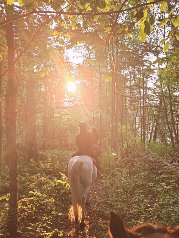 Private sunset ride package