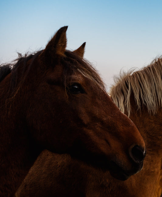 Private ride for two November 9th